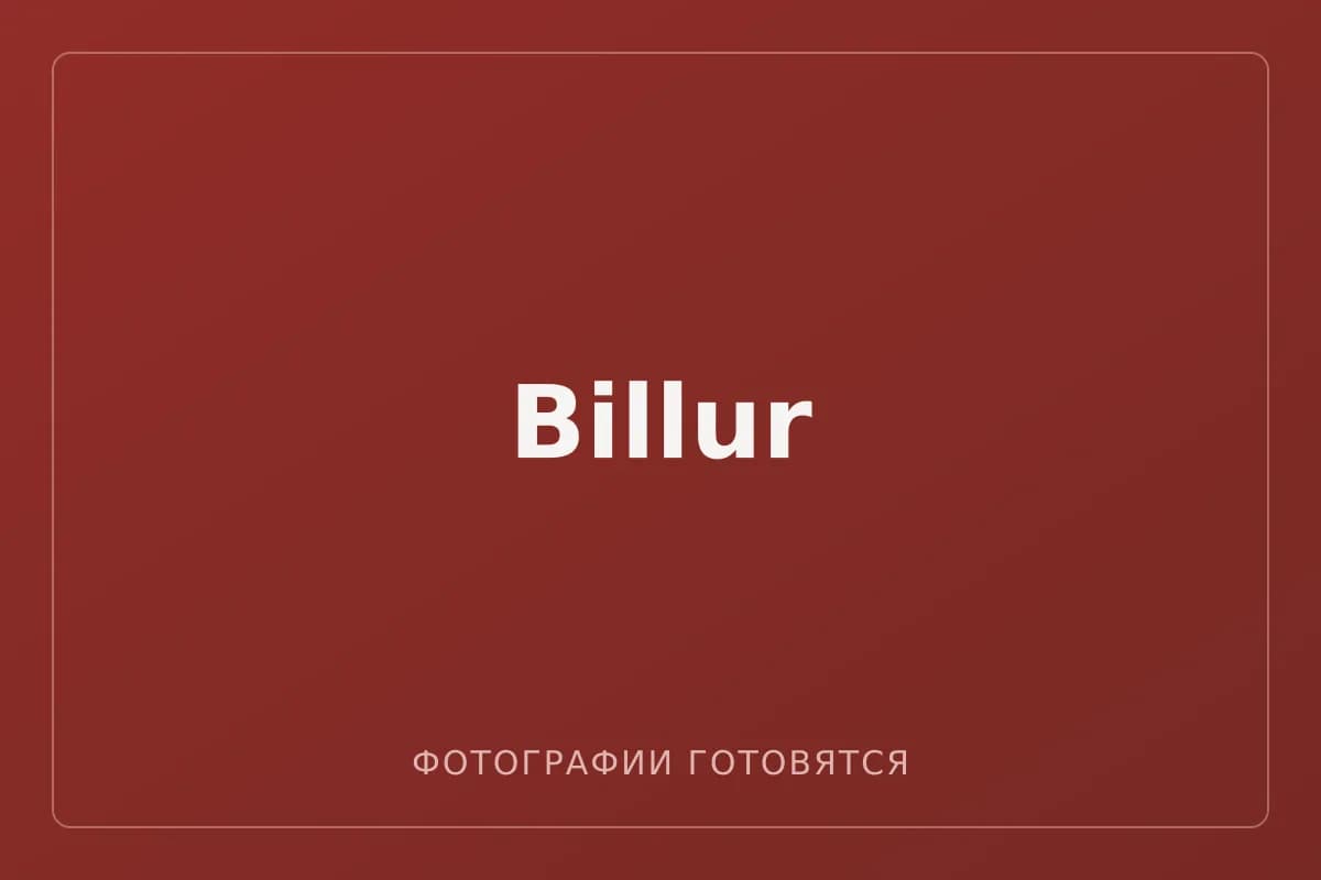 Billur — фотографии пока не загружены